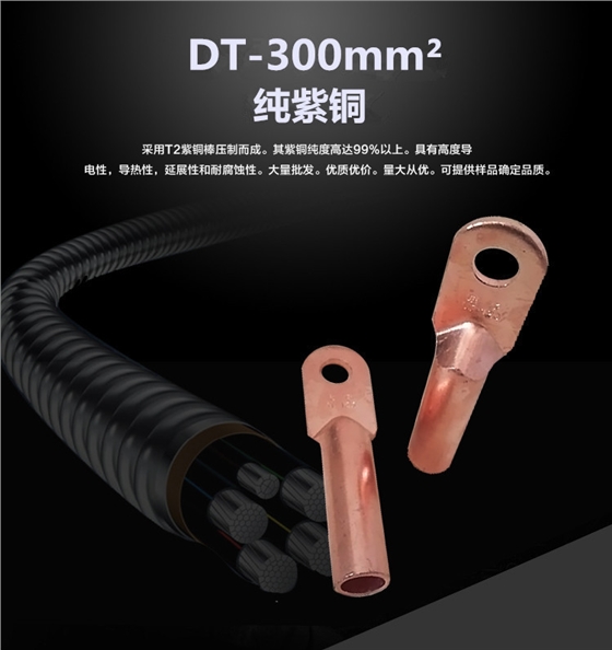 DT-300mm2平方铜鼻子