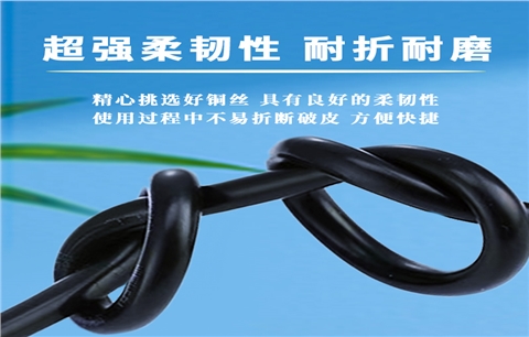 国标RVVP2x2.5平方屏蔽电缆供应厂家